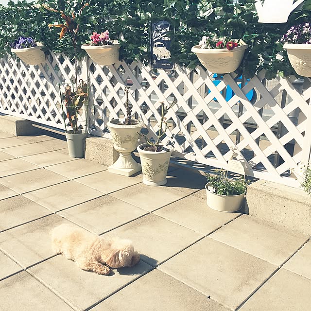 KCOさんの実例写真