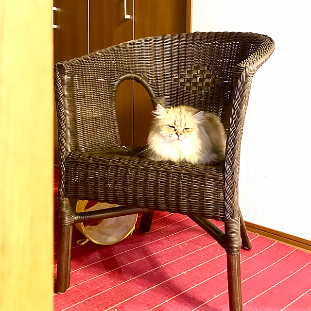 butachanさんの実例写真