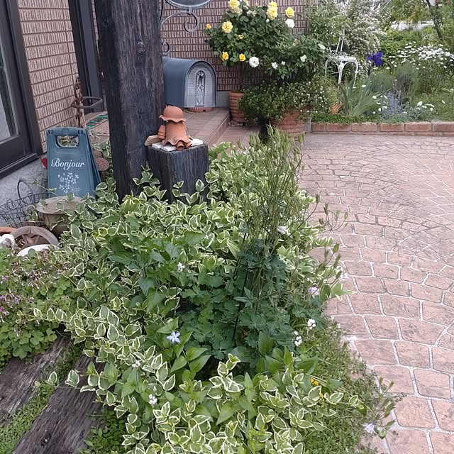 Hujikoさんの部屋