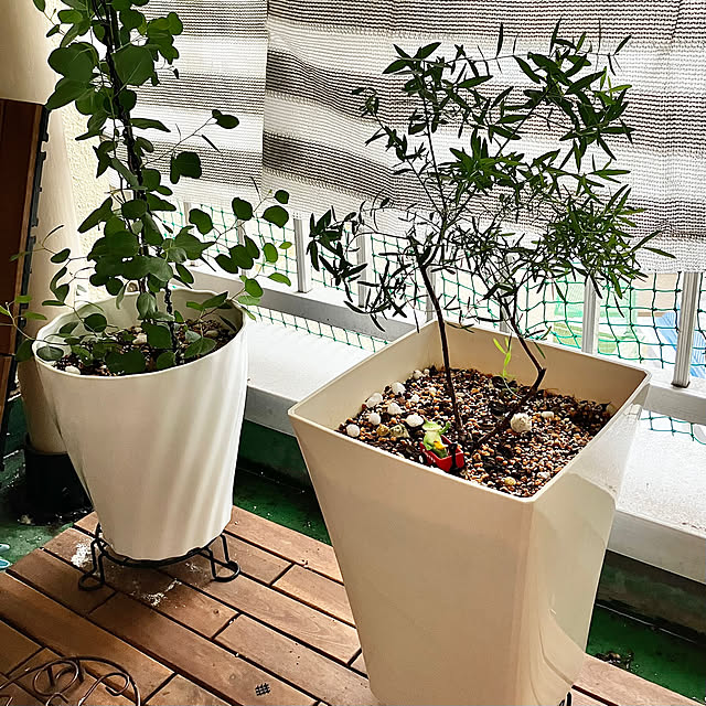 kagomamaさんの部屋
