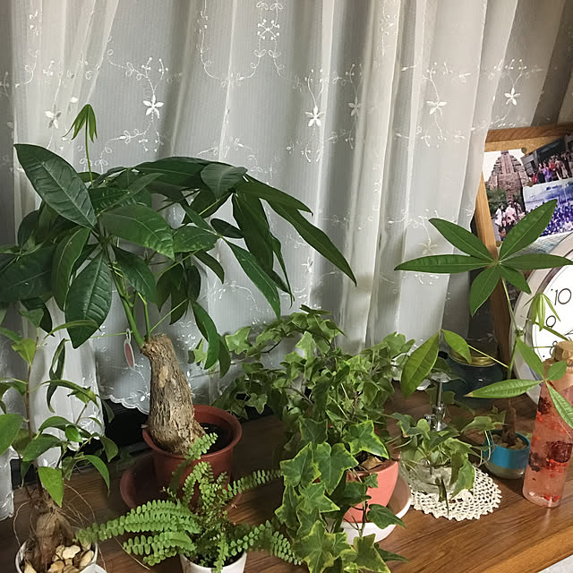 Misaさんの実例写真