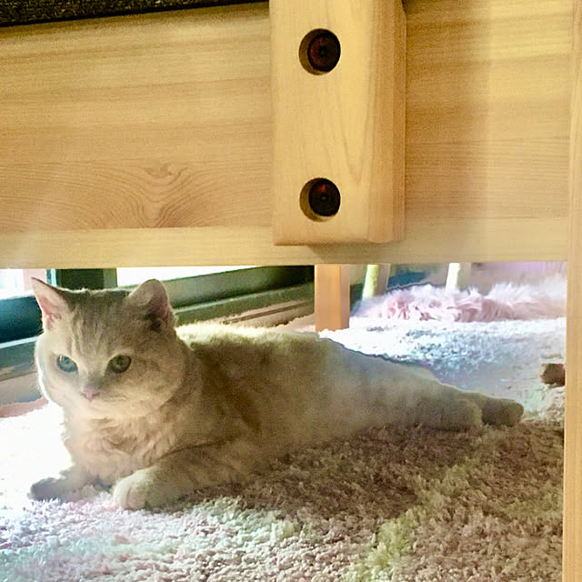 naokoさんの実例写真