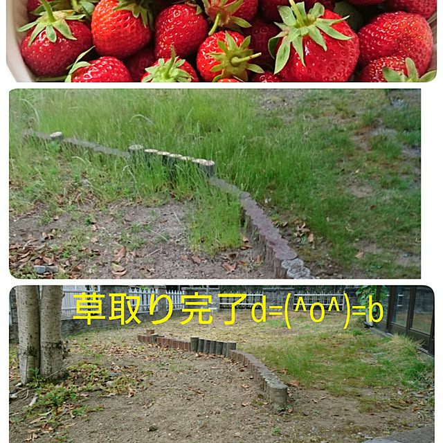 ameamekaasanさんの実例写真