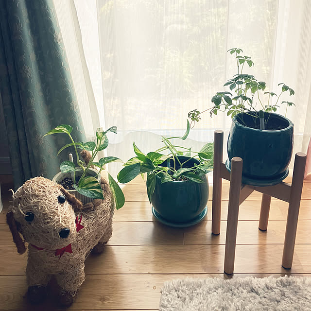 katuさんの部屋