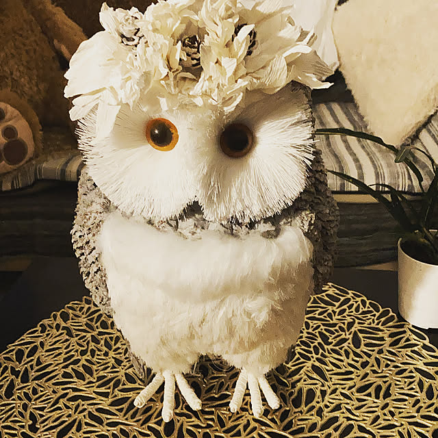 reeさんの実例写真