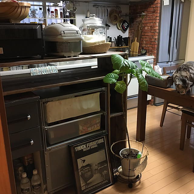 haruさんの実例写真