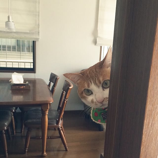 kinakuroさんの実例写真