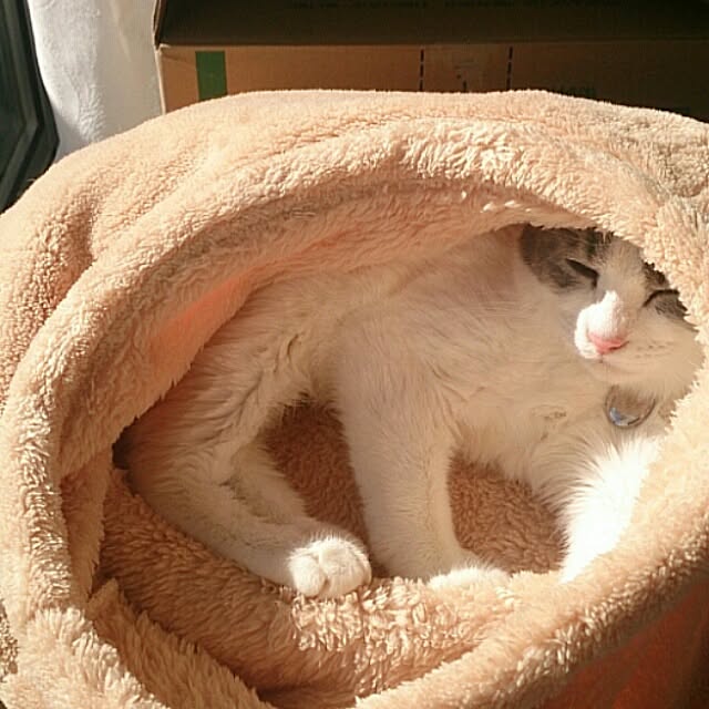 Lukiさんの実例写真