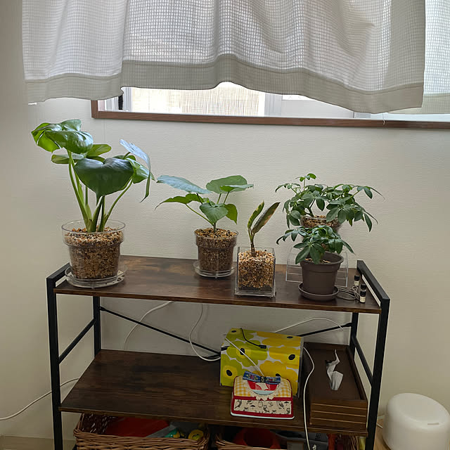 mamiさんの実例写真