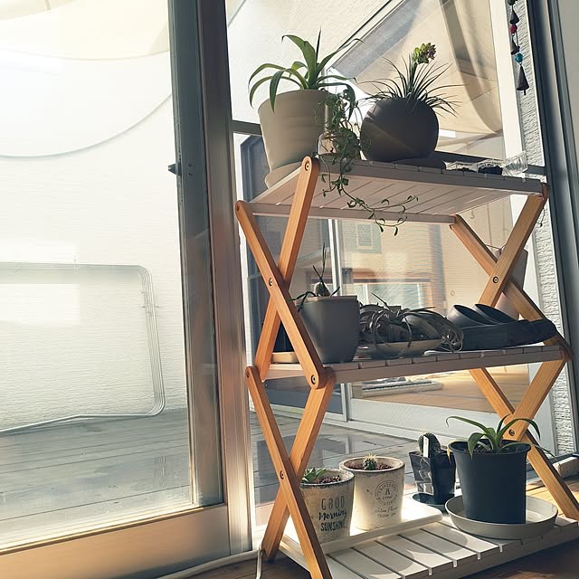 Rudyさんの実例写真