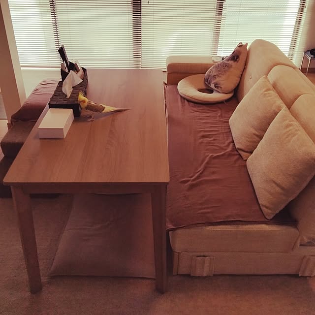 animallandさんの実例写真