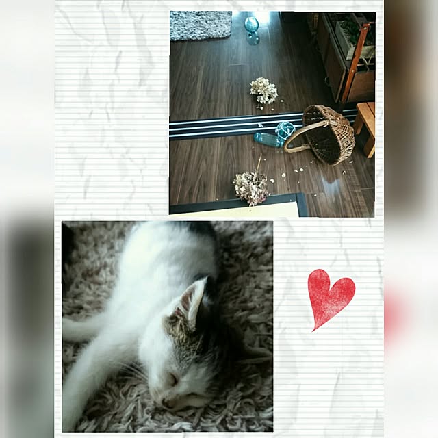 akikoさんの実例写真