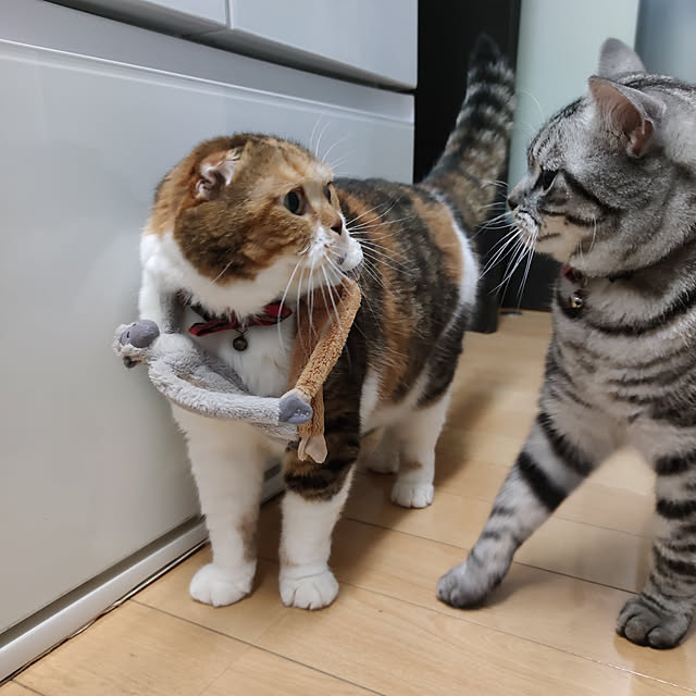 hiro3さんの実例写真