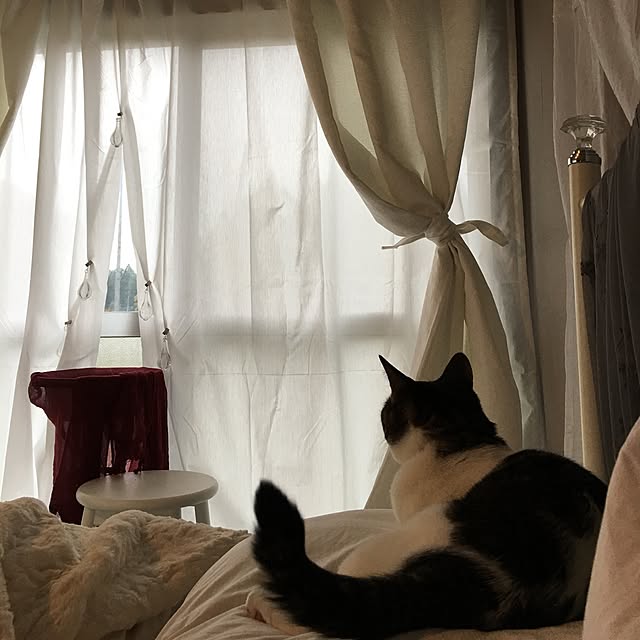 Shihoさんの実例写真