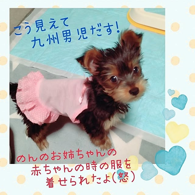 chinon7211さんの部屋