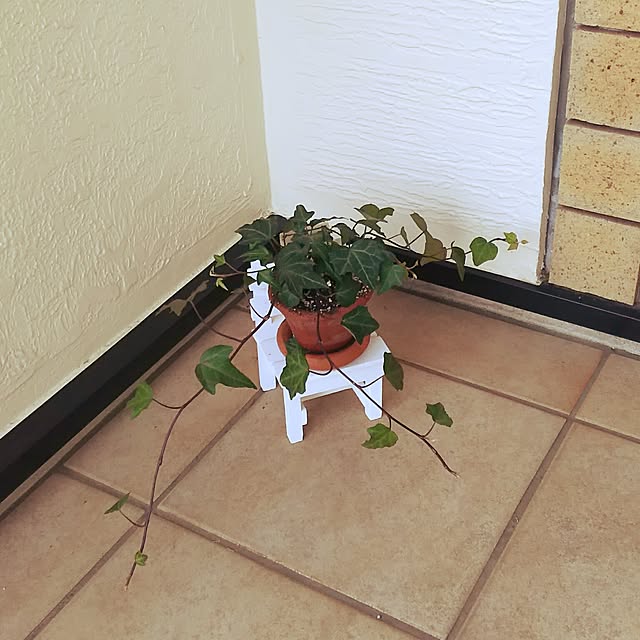 mekkokunkunさんの実例写真