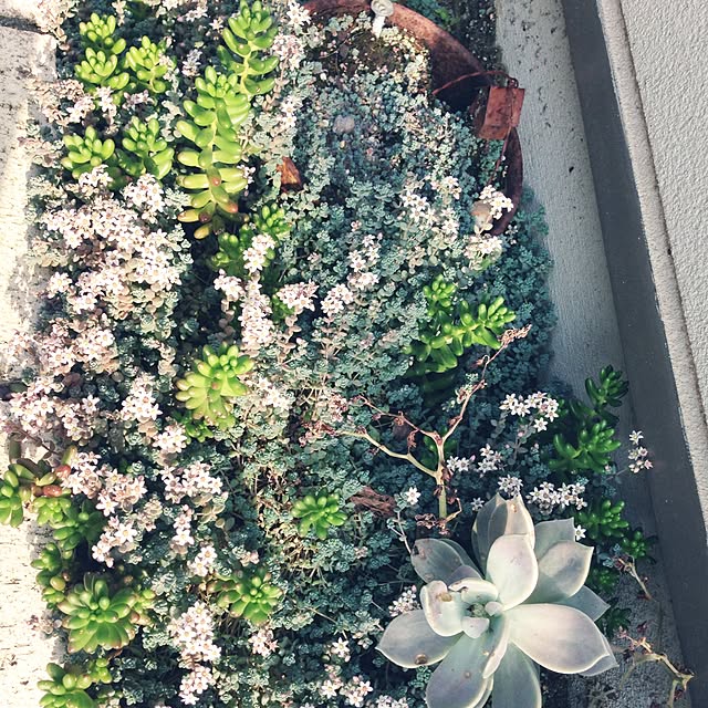 hanaさんの実例写真
