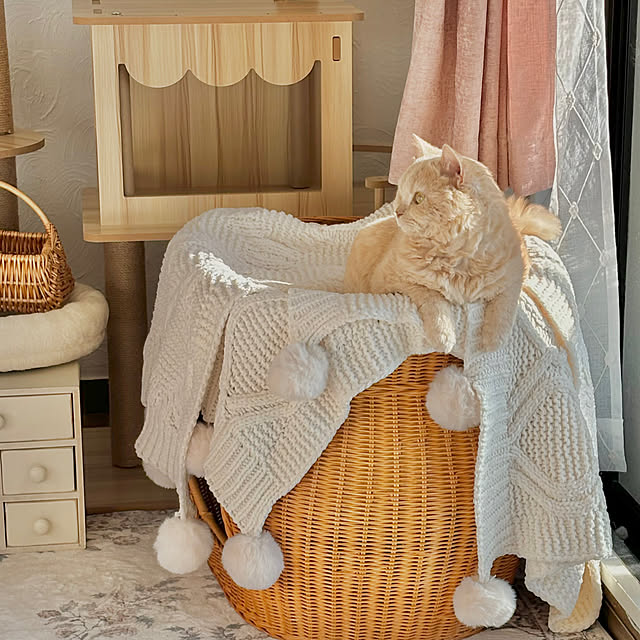naokoさんの部屋