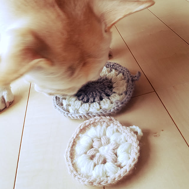 yumeさんの実例写真