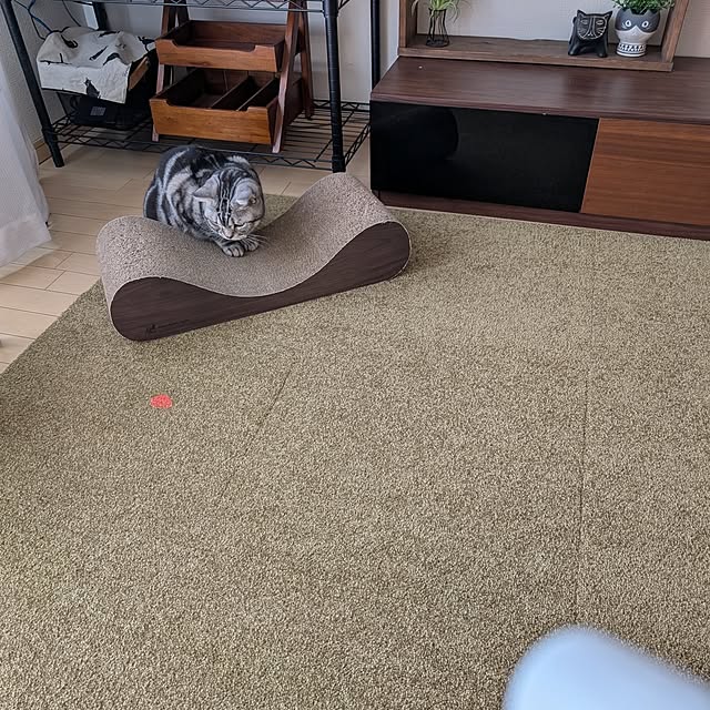 lovepeaceさんの部屋