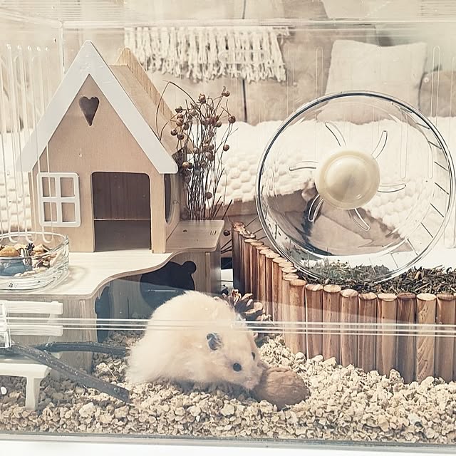 Pink.Jasmineさんの実例写真