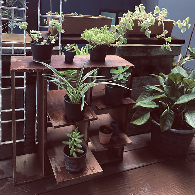 棚のインテリア実例 - 2018-08-12 15:51:59