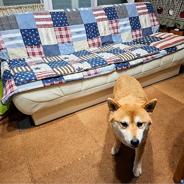 nanaさんの実例写真