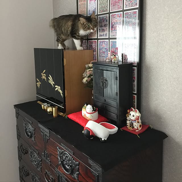 yuchiさんの実例写真