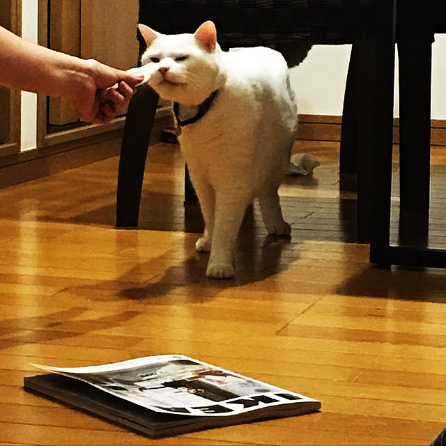 tekokaasanさんの実例写真
