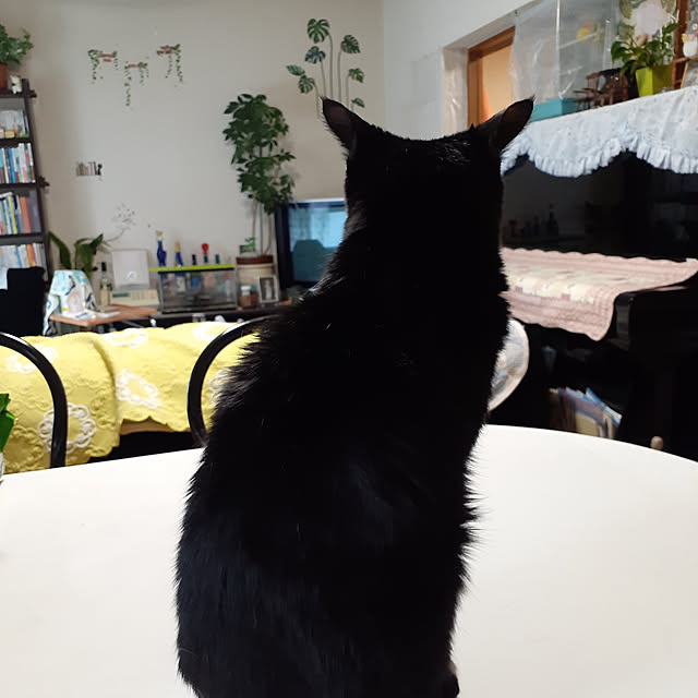 marin7さんの実例写真