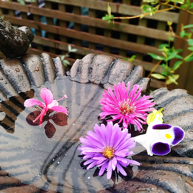 kikusukeさんの実例写真