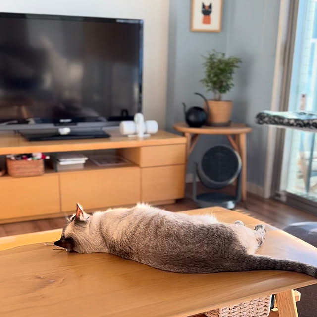 amさんの部屋