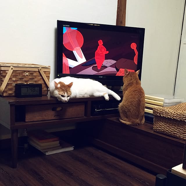 shiroinuさんの実例写真