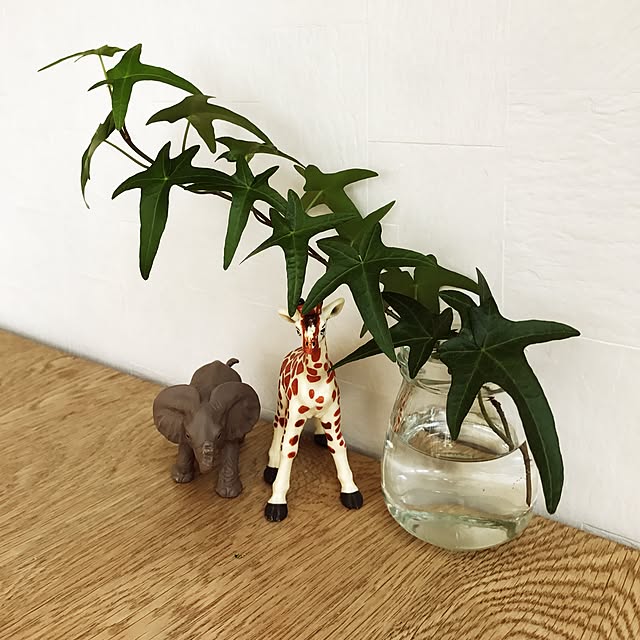 Hiromiさんの実例写真