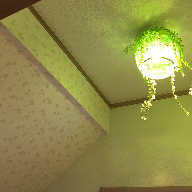 hayaさんの実例写真