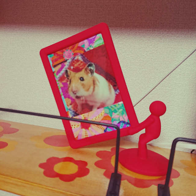 xxxakyxxxさんの実例写真