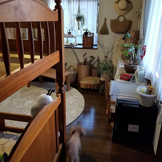 midoriさんの部屋