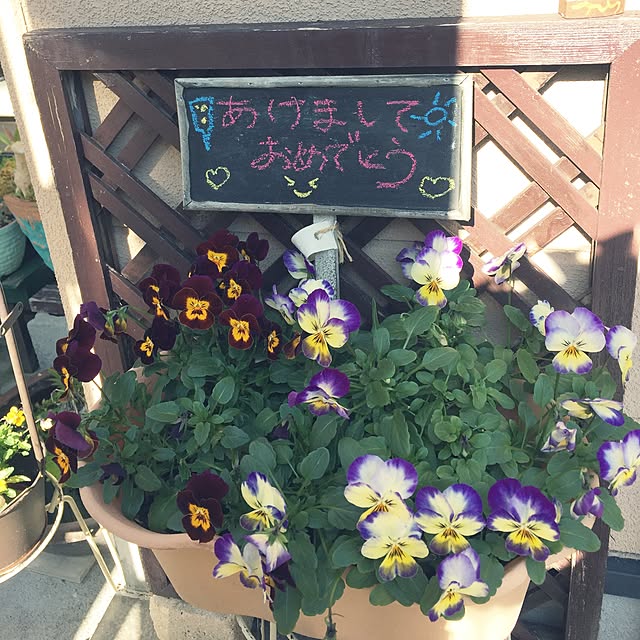 takakoさんの実例写真