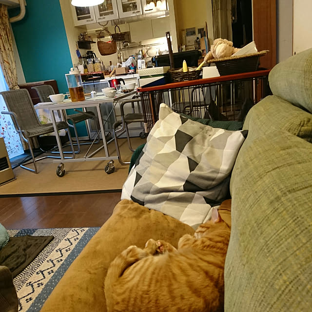 okyosan101さんの実例写真