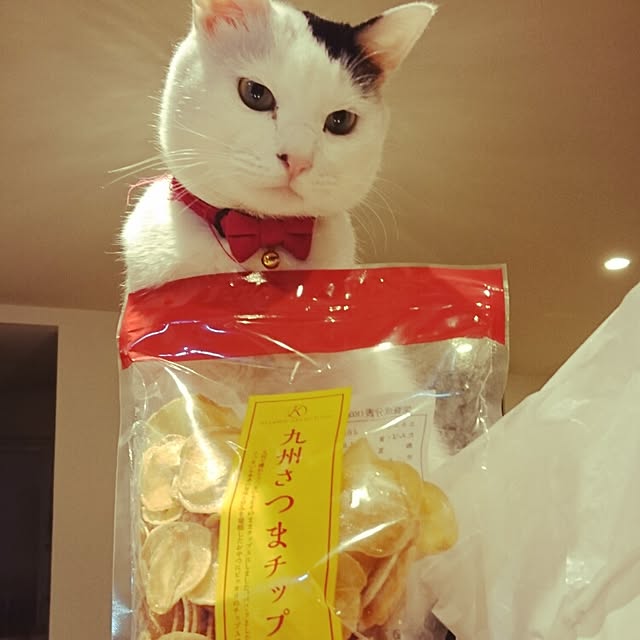 aimi614さんの実例写真