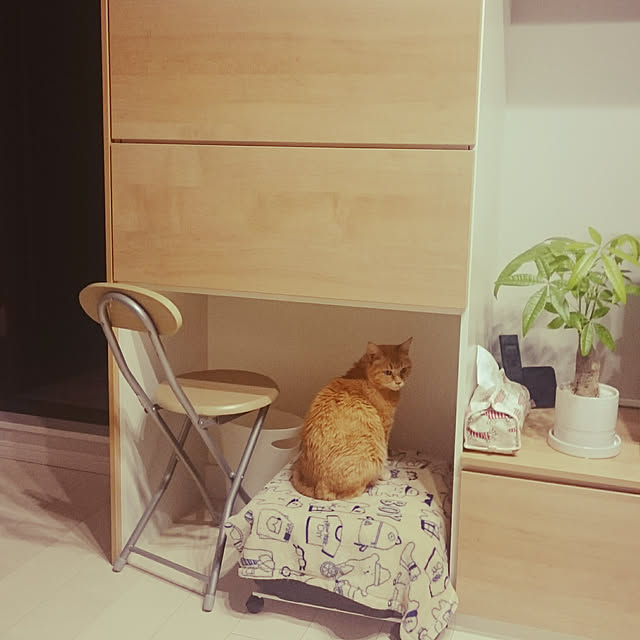 hanacocoさんの実例写真