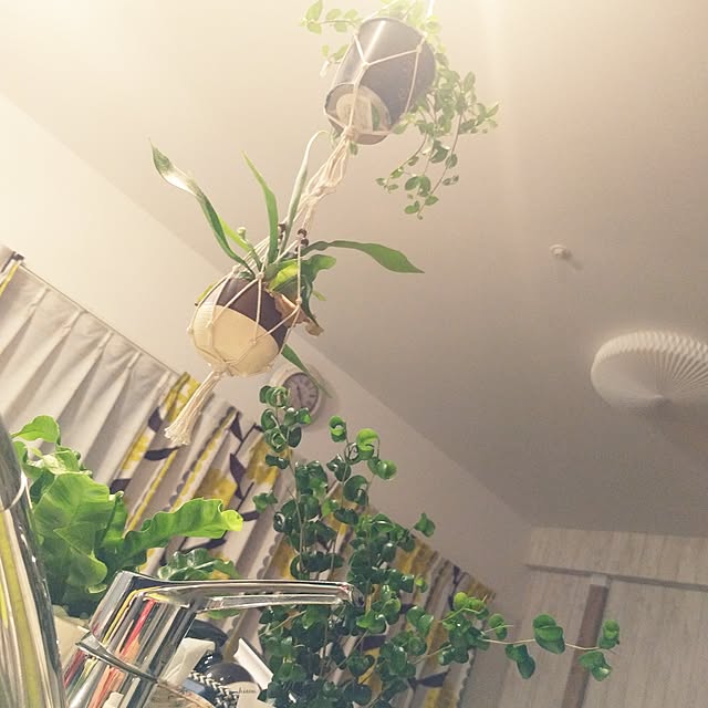 Mocoさんの実例写真