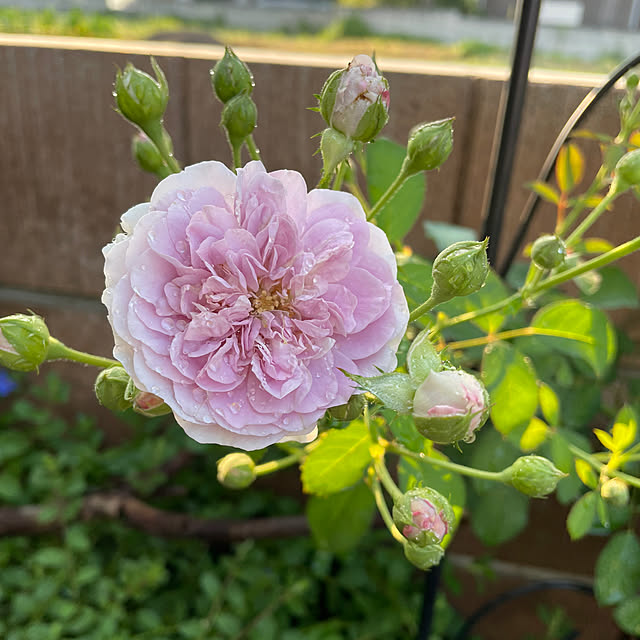 ronronさんの部屋