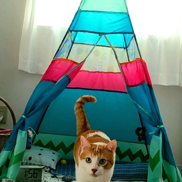 solさんの実例写真