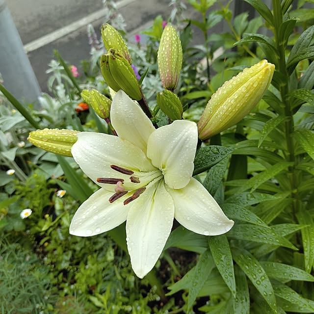 kiraさんの部屋