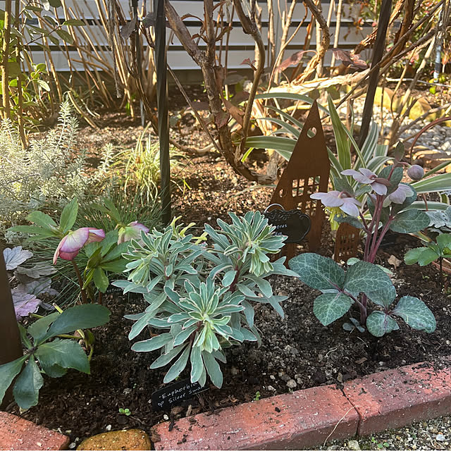 felicityさんの部屋