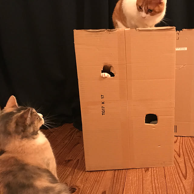 sakurasakuさんの実例写真