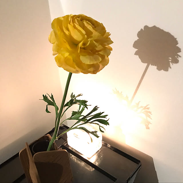 実例写真
