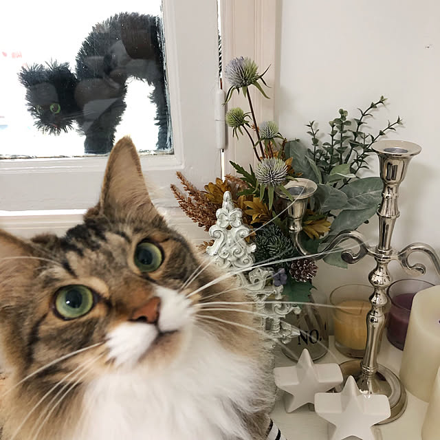 yuchiさんの実例写真