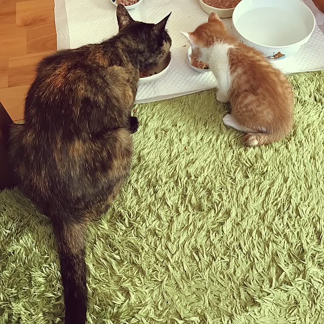 noraさんの実例写真